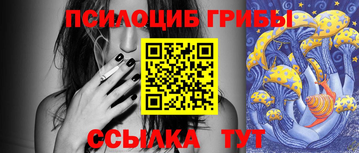 Галлюциногенные грибы мицелий  Вход с VPN  Галлюциногенные грибы Psilocybine cubensis  Донецк 