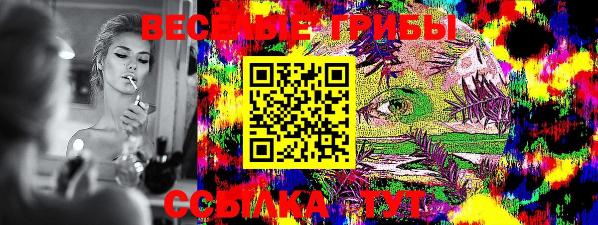 Галлюциногенные грибы GOLDEN TEACHER Донецк